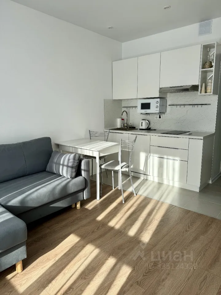 Студия, 20 м², 12/17 этаж