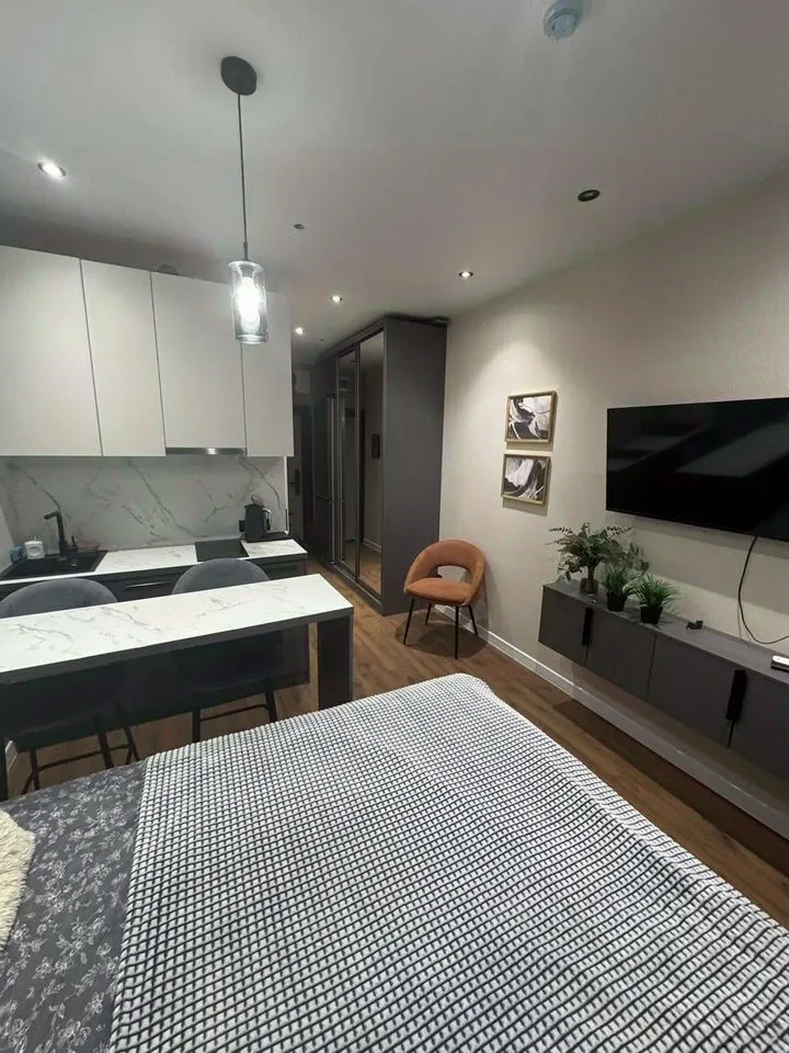 1-комн. квартира, 25 м², 13/24 этаж