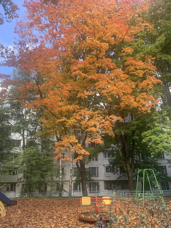 1-комн. квартира, 34,2 м², 6/9 этаж