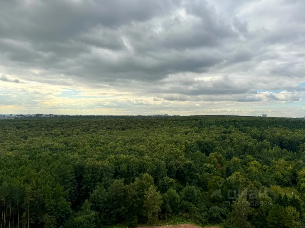 1-комн. квартира, 50 м², 20/31 этаж